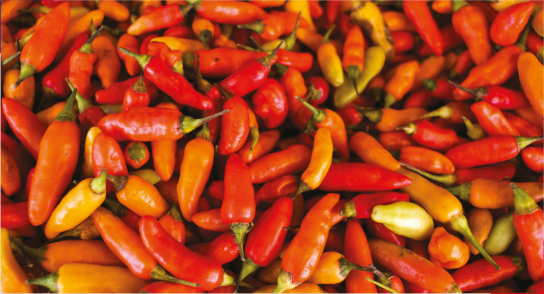 MERCADO MAYORISTA